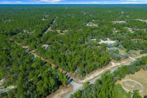 Land in Beverly Hills, Florida № 2118833