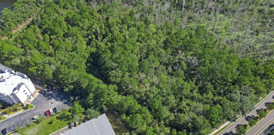 Land in Jacksonville, Florida № 769196