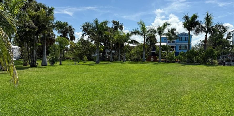 Terrain à Terra Ceia, Floride № 1828404