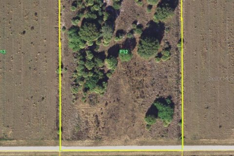 Terrain à vendre à Punta Gorda, Floride № 2218586 - photo 22