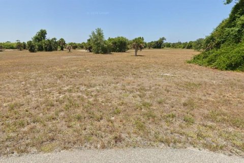 Land in Placida, Florida № 2224159