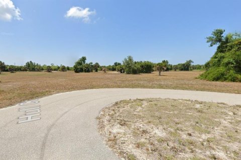 Land in Placida, Florida № 2224159 - photo 3