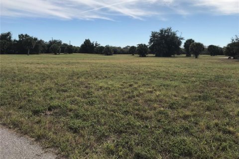 Land in Placida, Florida № 2224159 - photo 10
