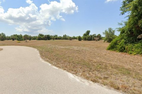 Land in Placida, Florida № 2224159 - photo 2