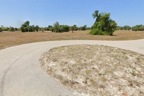 Land in Placida, Florida № 2224159 - photo 4