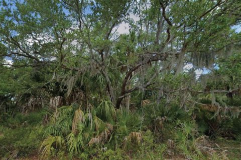 Terreno en Port Charlotte, Florida № 2231820