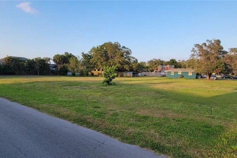 Terreno en venta en Nokomis, Florida № 1812524 - foto 1