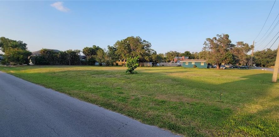 Land in Nokomis, Florida № 1812524