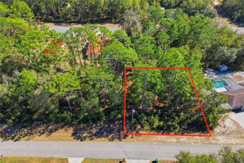 Land in Citrus Springs, Florida № 2163867 - photo 2