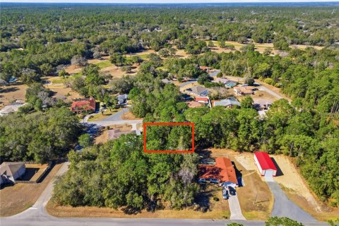 Land in Citrus Springs, Florida № 2163867 - photo 3