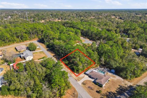 Land in Citrus Springs, Florida № 2163867 - photo 9