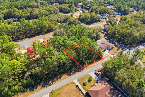 Land in Citrus Springs, Florida № 2163867