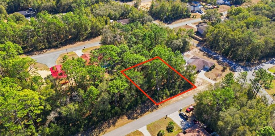 Land in Citrus Springs, Florida № 2163867