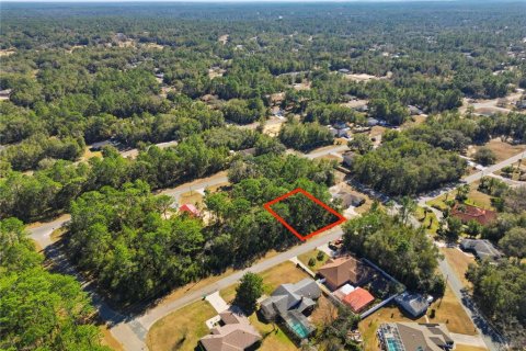 Land in Citrus Springs, Florida № 2163867 - photo 4