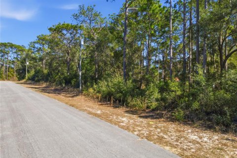 Land in Citrus Springs, Florida № 2163867 - photo 5