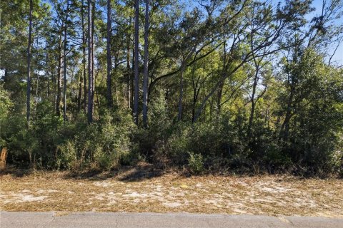 Land in Citrus Springs, Florida № 2163867 - photo 11