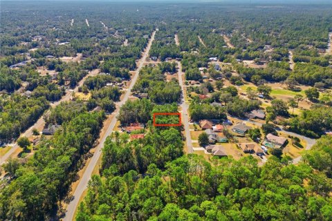 Land in Citrus Springs, Florida № 2163867 - photo 7