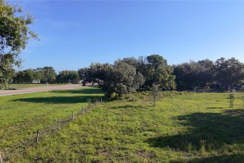 Land in LaBelle, Florida № 2105533 - photo 3