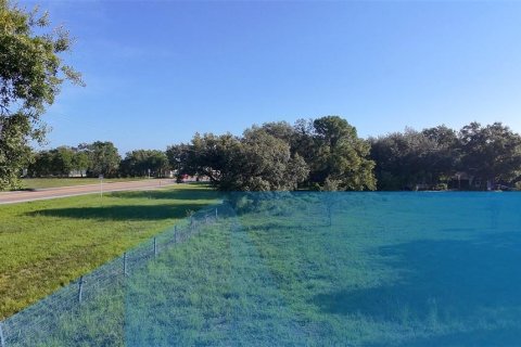 Land in LaBelle, Florida № 2105533 - photo 4