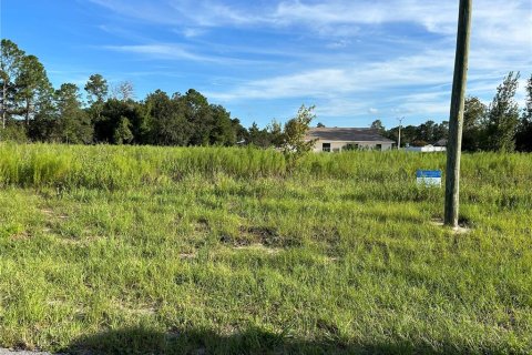 Terreno en venta en Ocala, Florida № 1559817 - foto 1