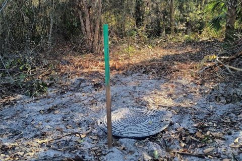 Land in Gainesville, Florida № 2161007 - photo 18