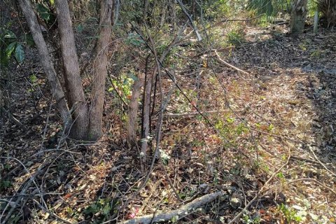 Land in Gainesville, Florida № 2161007 - photo 15
