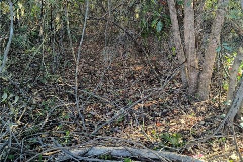 Land in Gainesville, Florida № 2161007 - photo 16