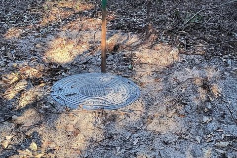 Land in Gainesville, Florida № 2161007 - photo 10