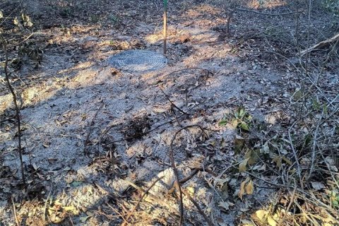 Land in Gainesville, Florida № 2161007 - photo 11