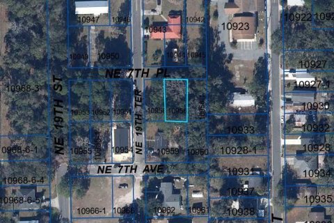 Land in Gainesville, Florida № 2161007 - photo 2
