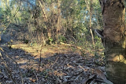 Land in Gainesville, Florida № 2161007 - photo 9