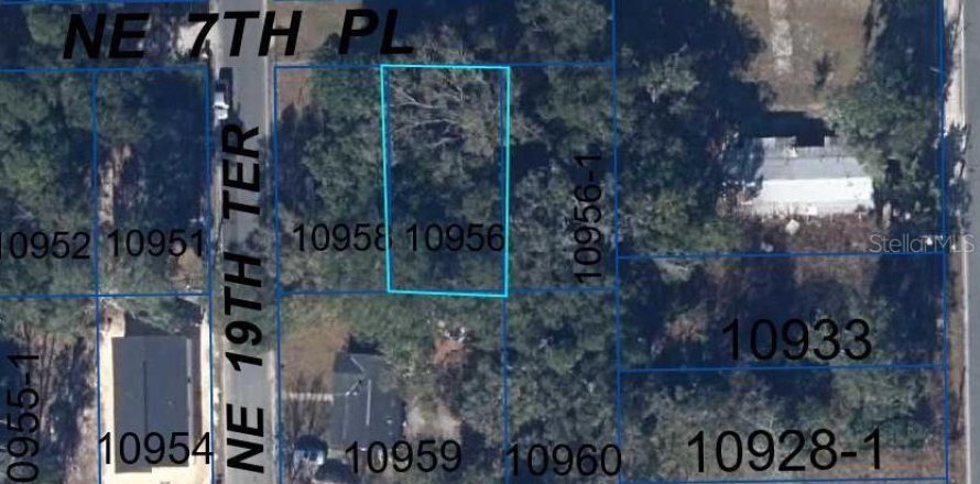 Land in Gainesville, Florida № 2161007
