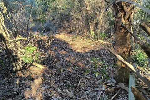 Land in Gainesville, Florida № 2161007 - photo 8
