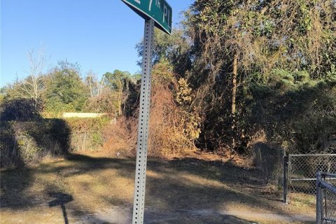 Land in Gainesville, Florida № 2161007 - photo 4