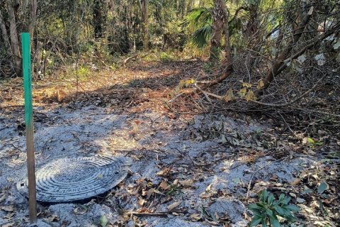Land in Gainesville, Florida № 2161007 - photo 17