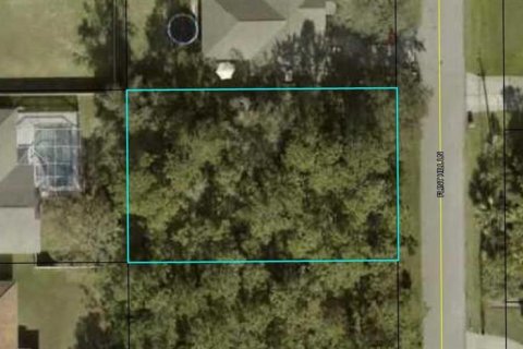 Terrain à Palm Coast, Floride № 2108779