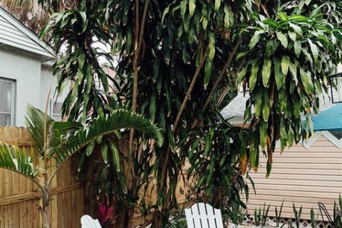 Apartamento en alquiler en Saint Petersburg, Florida, 1 dormitorio, 55.74 m2 № 1853785 - foto 29
