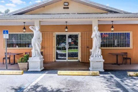 Commercial property in Paisley, Florida 314.75 sq.m. № 1842058 - photo 7