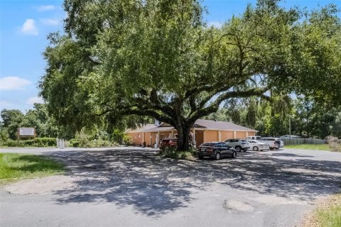 Commercial property in Paisley, Florida 314.75 sq.m. № 1842058 - photo 5