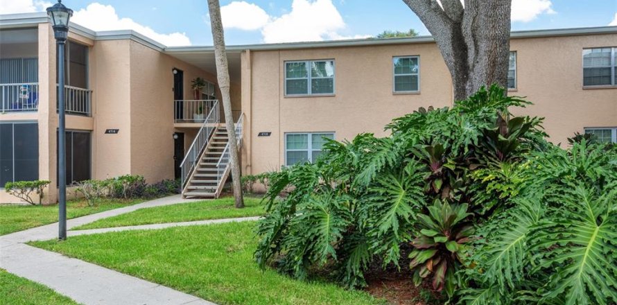 Condo à Tampa, Floride, 2 chambres № 1910379