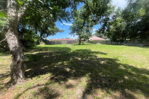 Terreno en venta en New Smyrna Beach, Florida № 2167155 - foto 3