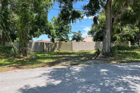 Terreno en venta en New Smyrna Beach, Florida № 2167155 - foto 5