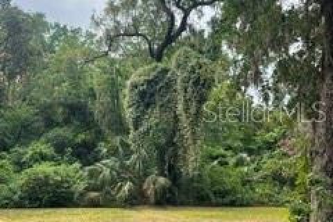 Terreno en venta en Palm Coast, Florida № 2120344 - foto 3