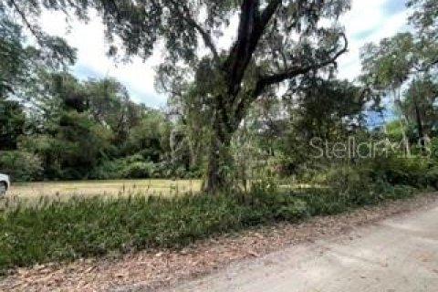 Terreno en venta en Palm Coast, Florida № 2120344 - foto 2