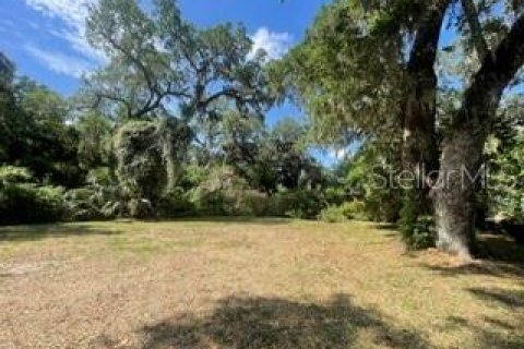 Land in Palm Coast, Florida № 2120344