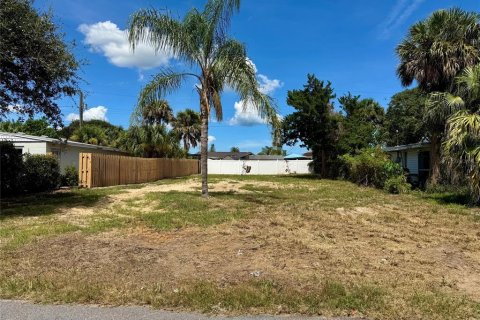 Land in Ormond Beach, Florida № 2369264