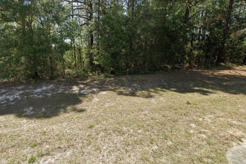 Terreno en Citrus Springs, Florida № 2164385