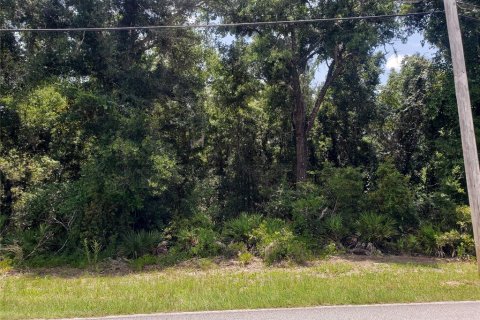 Land in De Leon Springs, Florida № 2198254 - photo 2