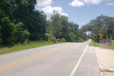 Land in De Leon Springs, Florida № 2198254 - photo 3