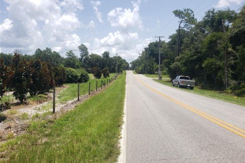 Land in De Leon Springs, Florida № 2198254 - photo 4